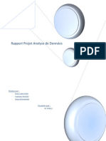 Rapport Analyse de Données