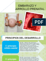 Embarazo y Desarrollo Prenatal