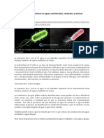 Artículo - Control de E. Coli