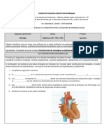 Guia # 2 Biología Grados Septimo Séptimo