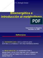 Bioenergetica