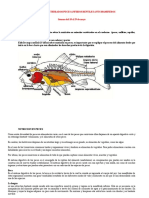 Nutricion de Vertebrados Peces Anfibios Reptiles Aves Mamiferos