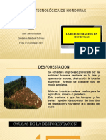 Deforestacion Honduras