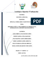 Identificación y Características e Importancia Generales de La División Magnoliophyta