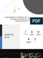 Neuroplasticidad y Rehabilitación PDF