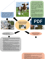 Factores Que Influencian en El Contenido de Solidos Totales de La Leche