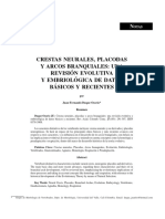 Crestas Neurales Embriologia PDF