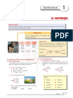 Ficha 01 Lenguaje Primero PDF