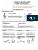 Guia 3 - Grado 5 - 2P - Ciencias Naturales