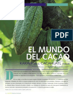 El Mundo Del Cacao.