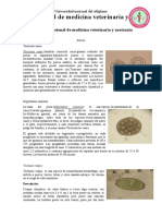 Parasitologia 1