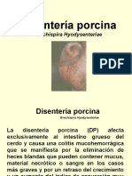 5 Disenteria Porcina