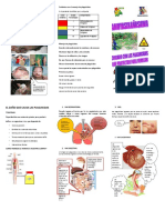 Triptico de Salud para Imprimir