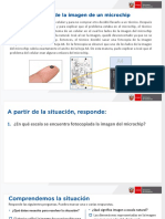 Matematica