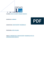 El Proceso de La Capacitación y Desarrollo en Las Organizaciones (Ensayo)