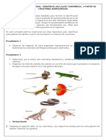 Taller Clave Taxonómica