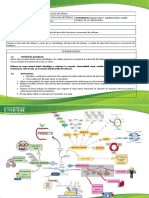 Mapa Mental Modelos Metodologias Desoftware