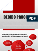 Debido Proceso