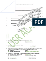 Gross Anatomy Preliminary Exams Samplex