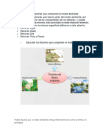 Describir Los Factores Que Componen El Medio Ambiente