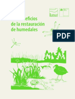 Beneficios de La Restauracion de Humedales