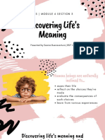 Discovering Life's Meaning