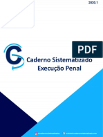 Caderno de Execução Penal 2020