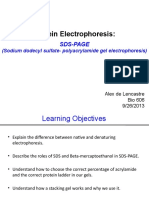 Bio606-Lab 5-SDS-PAGE