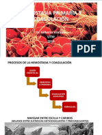 Hemostasia Primaria y Coagulación