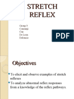 Stretch Reflex