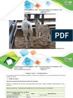 Informe Practica Zootecnia Z - Te