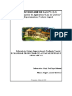 Manejo E Produçao de Plantas Medicinais E Aromáticas - Sérgio Antonio Barraca