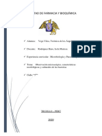 Observación Macroscópica, Características Morfológicas y Tintoriales de Bacterias