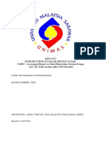 Solar PV Individual Report