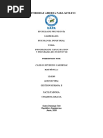 Trabajo Final Programa de Capacitacion y Plan de Incentivos