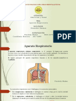 Sistema Respiratorio