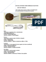 Trabajo Terminado Guia 1