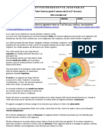 Taller Ciencias Naturales 5 Semana Del 24 Al 27 DE MARZO DE 2020 (Autoguardado)