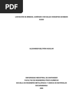 Lixiviación de Mineral Aurífero Con Sales Oxidantes en Medio Ácido Alexander Beltrán Aguilar