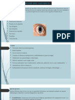 Problemas Con Trastornos Oftalmologicos