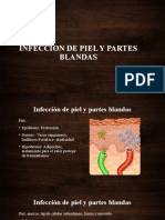 Infeccion de Piel y Partes Blandas