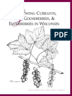 (Gardening) Growing Currants, Gooseberries, and Elderberries PDF