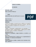 Practica 1 Cuestionarios 1,2,3,4,5,6, Y, 18