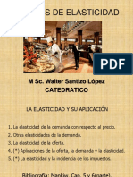 Elasticidades (Docencia) B 2020 PDF