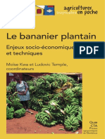 Le Bananier Plantain: Enjeux Socio-Économiques Et Techniques