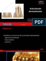 Articulacion Dentoalveolar