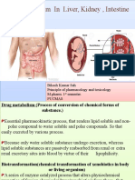 Metabolism in Liver Kidney and Placenta