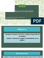 Entender y Evaluar Las Anomalías Pupilares