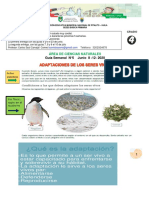 Guias Ciencias Naturales Grado Cuarto Periodo 2