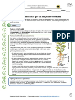 Ciencias Naturales 6°